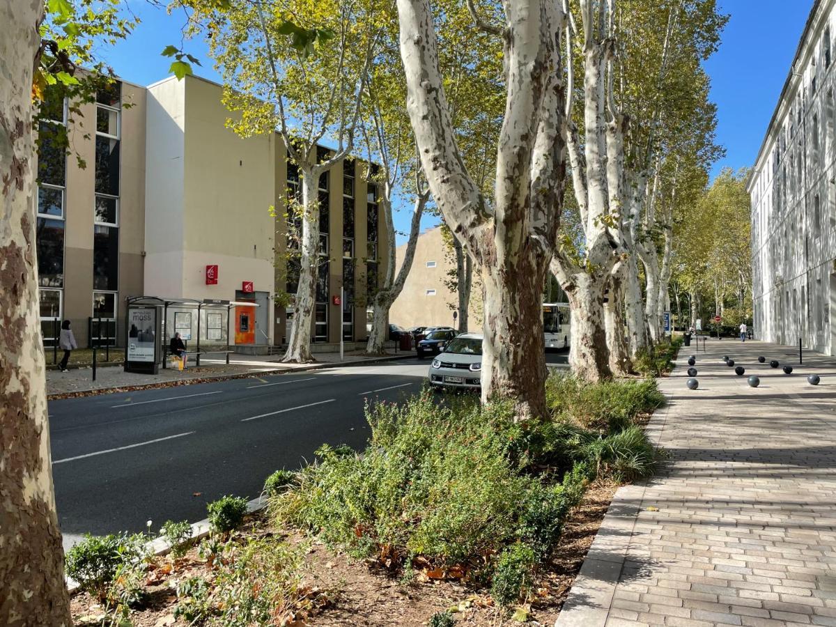 L'Eveche - T3 Spacieux & Traversant En Hypercentre Castres  Exterior photo