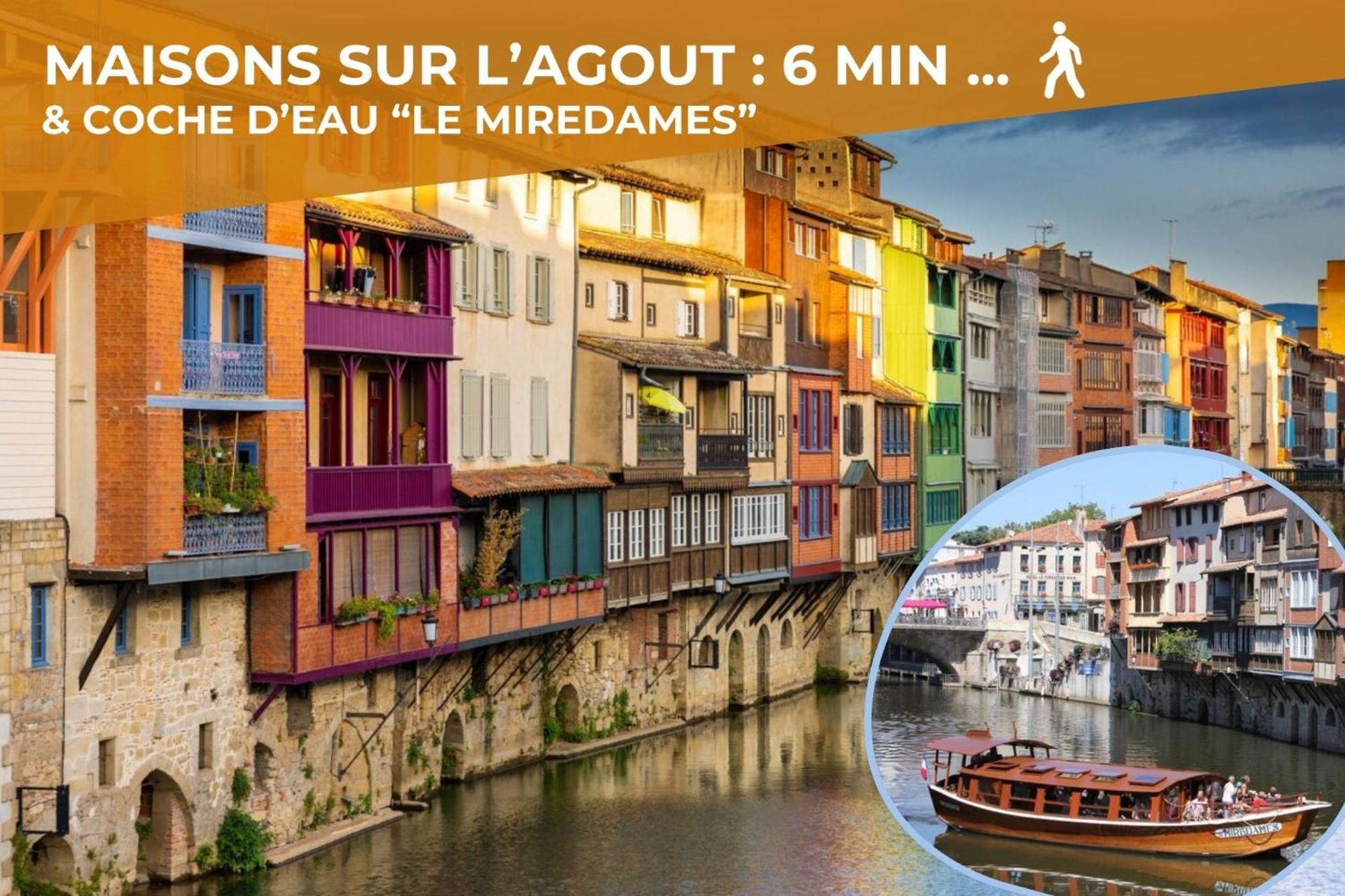 L'Eveche - T3 Spacieux & Traversant En Hypercentre Castres  Exterior photo
